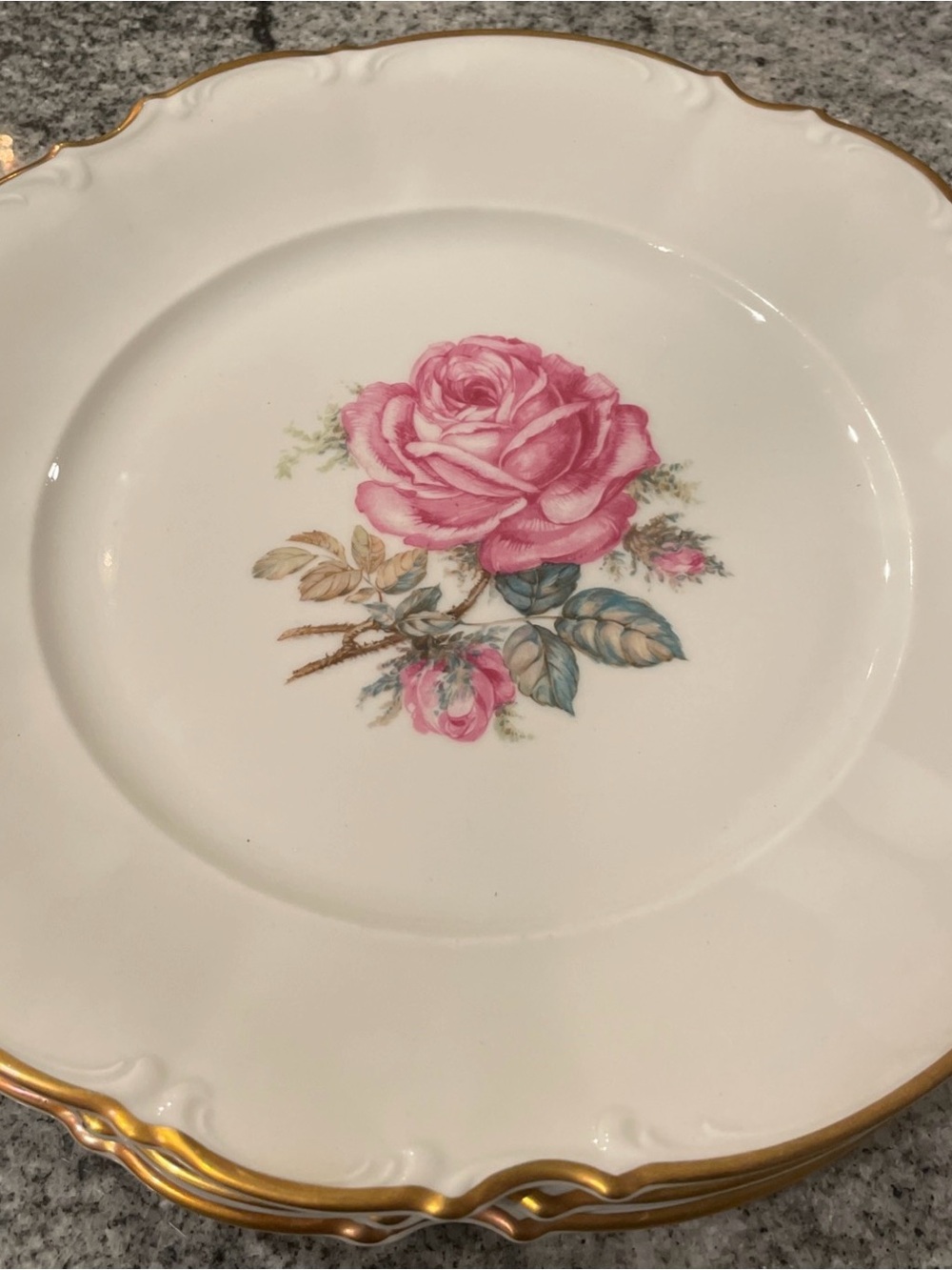 Vtg. hutschenreuther selb Bavarian Porcelain 9 Plates-Pink Rose Ptrn. Fine China - Picture 2 of 4
